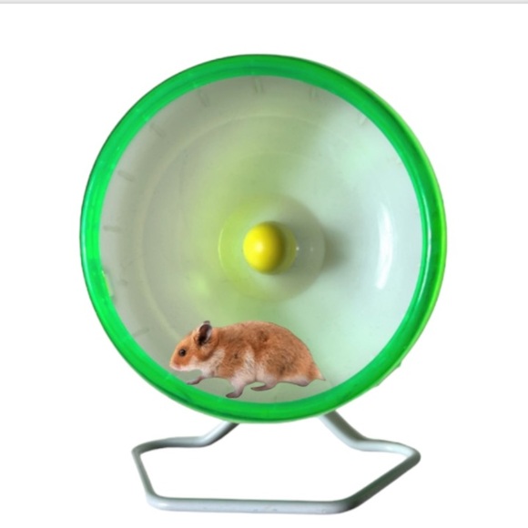 NWOT Silent Spinner Mini Green Small Animal Exercise Wheel - Picture 8 of 9